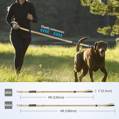 Rynx | High Quality Expandable Reflective Dog Leash