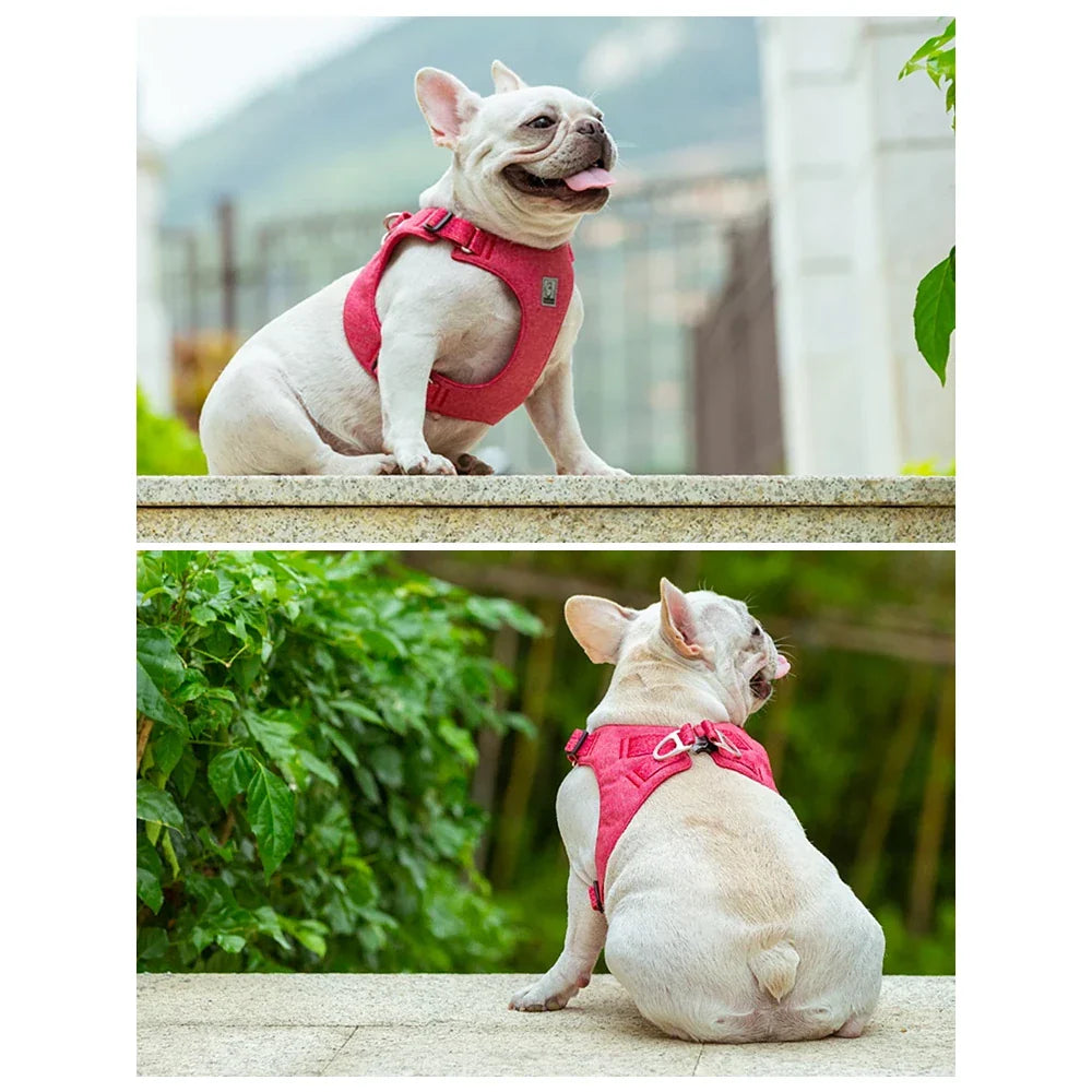Rynx | Eco-Friendly Adjustable No-Pull Pet Harness