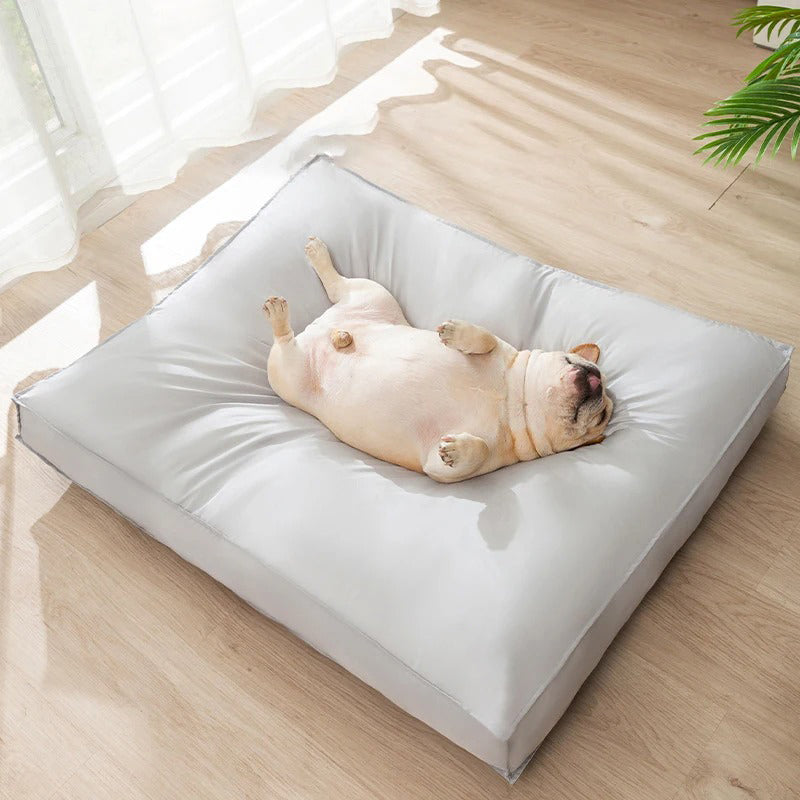 Rynx | Cozy Cat and Dog Bed