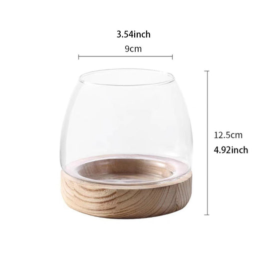 Rynx | Elegant Glass Desktop Fish Tank