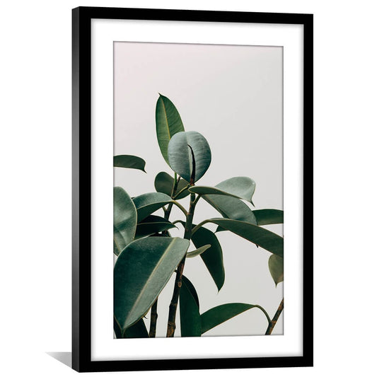 Rynx | Elastica Plant Print