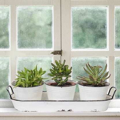 Rynx | Enamel plant pots with saucer Set of 3