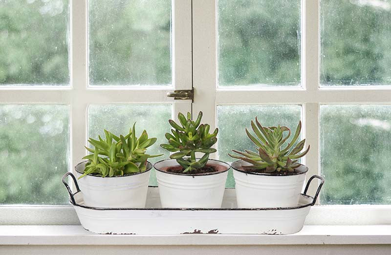 Rynx | Enamel plant pots with saucer Set of 3