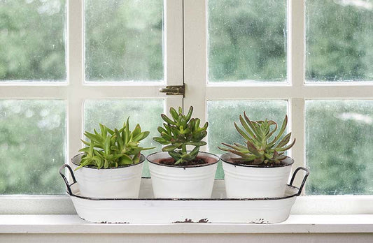 Rynx | Enamel plant pots with saucer Set of 3