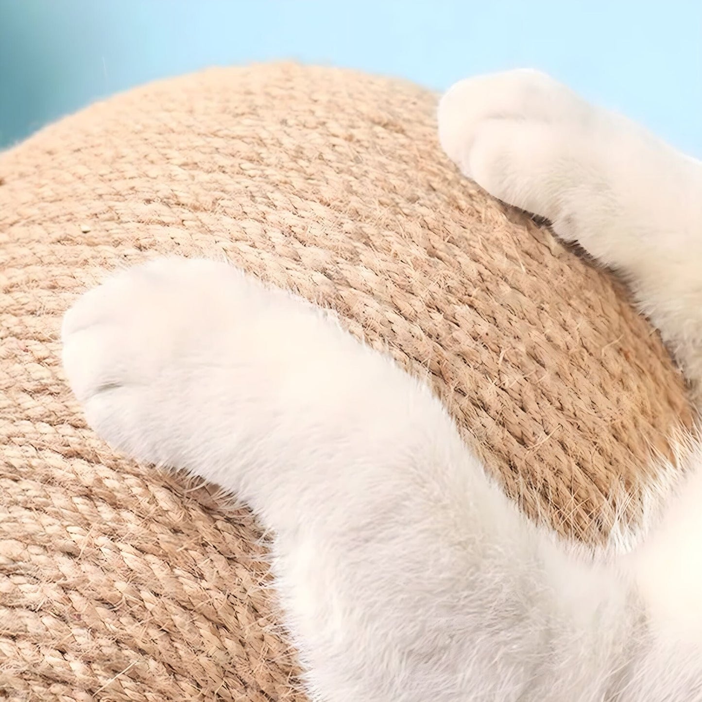 Rynx | Paws Cat Scratching Tree