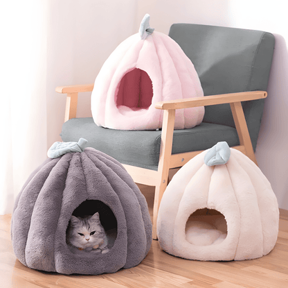 Rynx | feline fortress