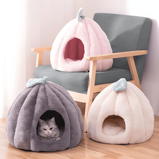 Rynx | feline fortress