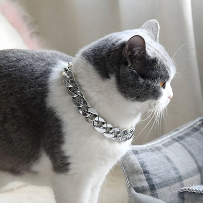 Rynx | Hop Pet Collar