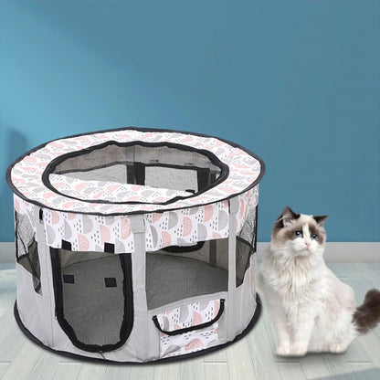 Rynx | Pet Paradise