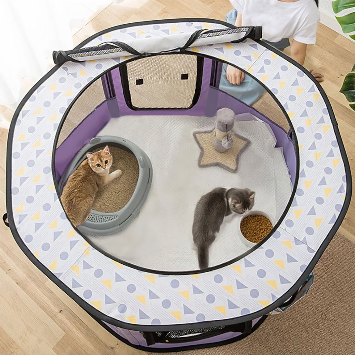 Rynx | Pet Paradise