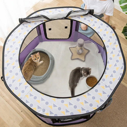 Rynx | Pet Paradise