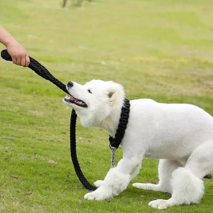 Rynx | Paws Adventure Strap