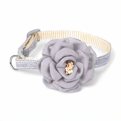 Rynx | Paws Pet Collar