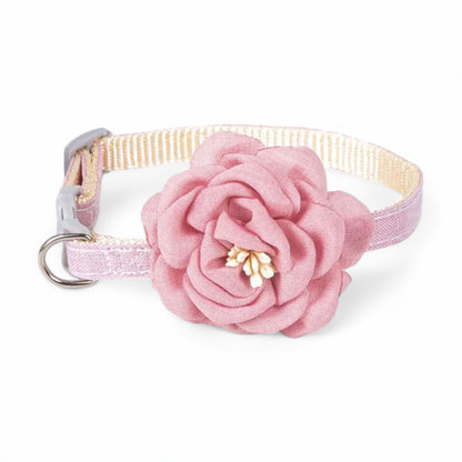 Rynx | Paws Pet Collar