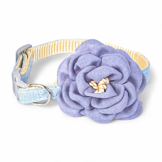 Rynx | Paws Pet Collar