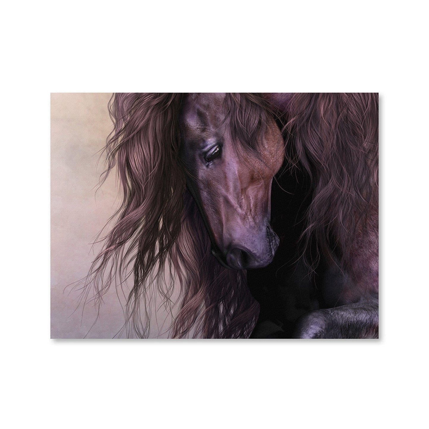 Rynx | Equus Canvas