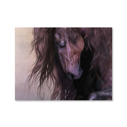 Rynx | Equus Canvas