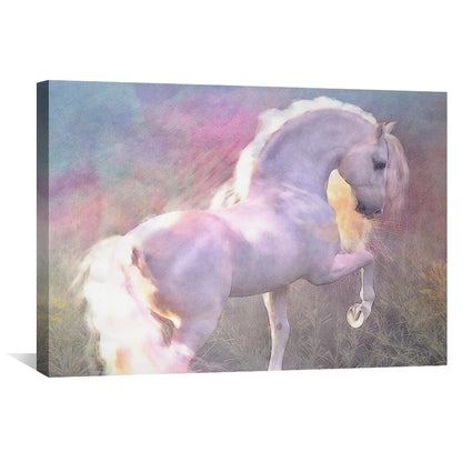 Rynx | Evenglow Canvas