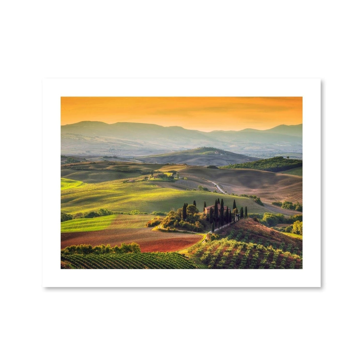 Rynx | Evening pasture print