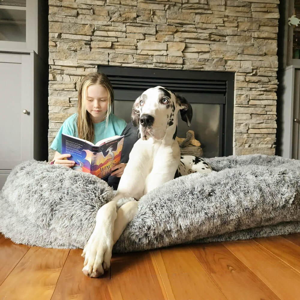 RYNX | Orthopedic Dog Bed