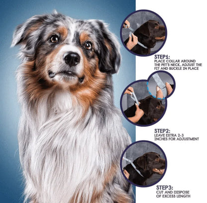 Rynx | Pro Guard Flea and Tick Pet Collar