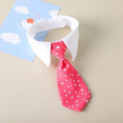 Rynx | formal collar