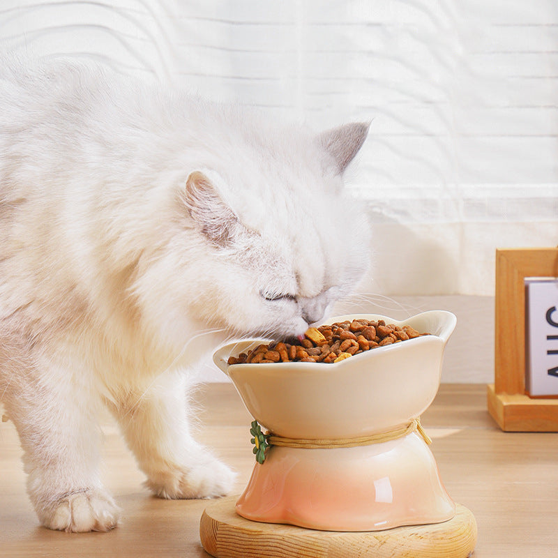 Rynx | Elevated Gradient Ceramic Pet Bowl