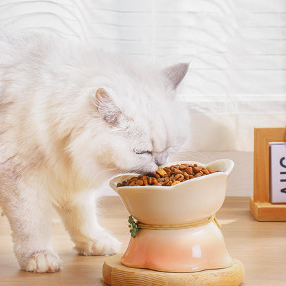 Rynx | Elevated Gradient Ceramic Pet Bowl