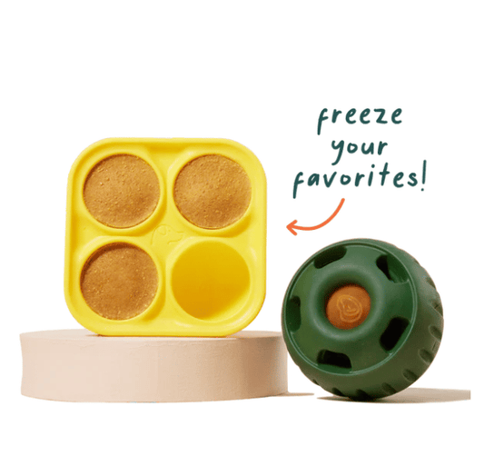 Rynx | Pupsicle - Dog's Top Choice Toy 🐾