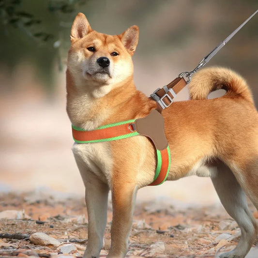 Rynx | Reflective Mesh Nylon Dog Harness with Padded Vest and D-Ring for Small, Medium, Large Dogs - Pitbull, S/M/L