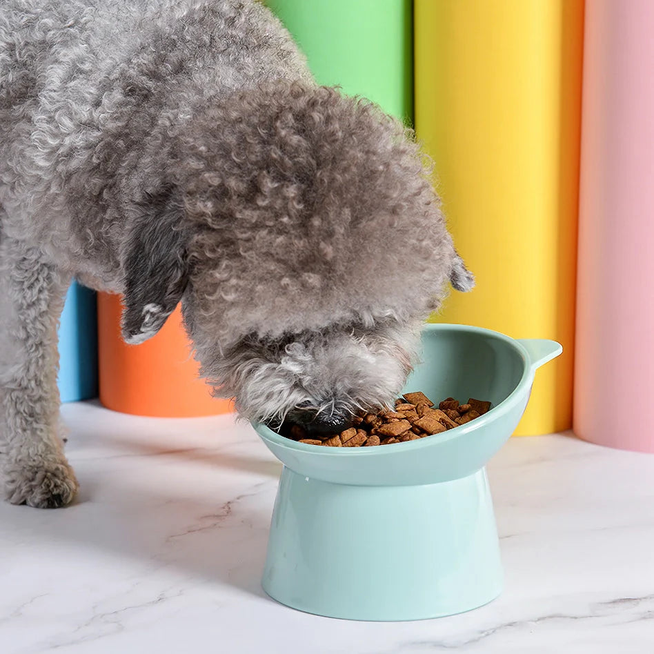 Rynx | Elevated cat and dog bowl with 45-degree incline