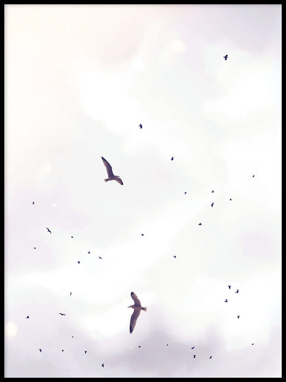 Rynx | Birdstorm 1