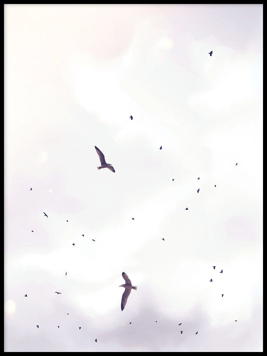 Rynx | Birdstorm 1