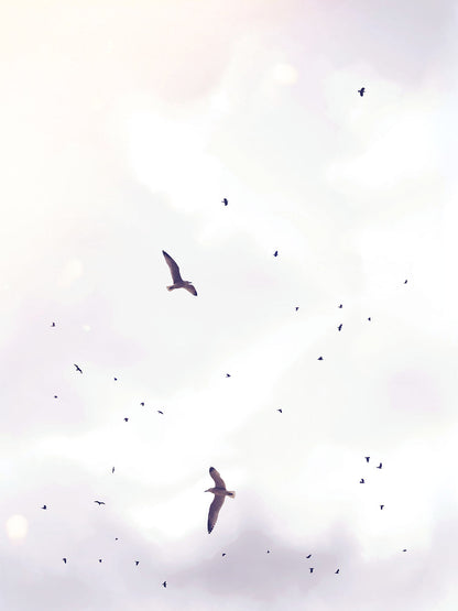 Rynx | Birdstorm 1