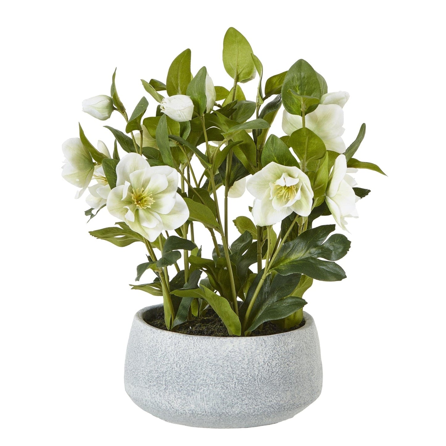 Rynx | Fake white Christmas rose plant in stoneware pot
