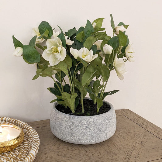 Rynx | Fake white Christmas rose plant in stoneware pot
