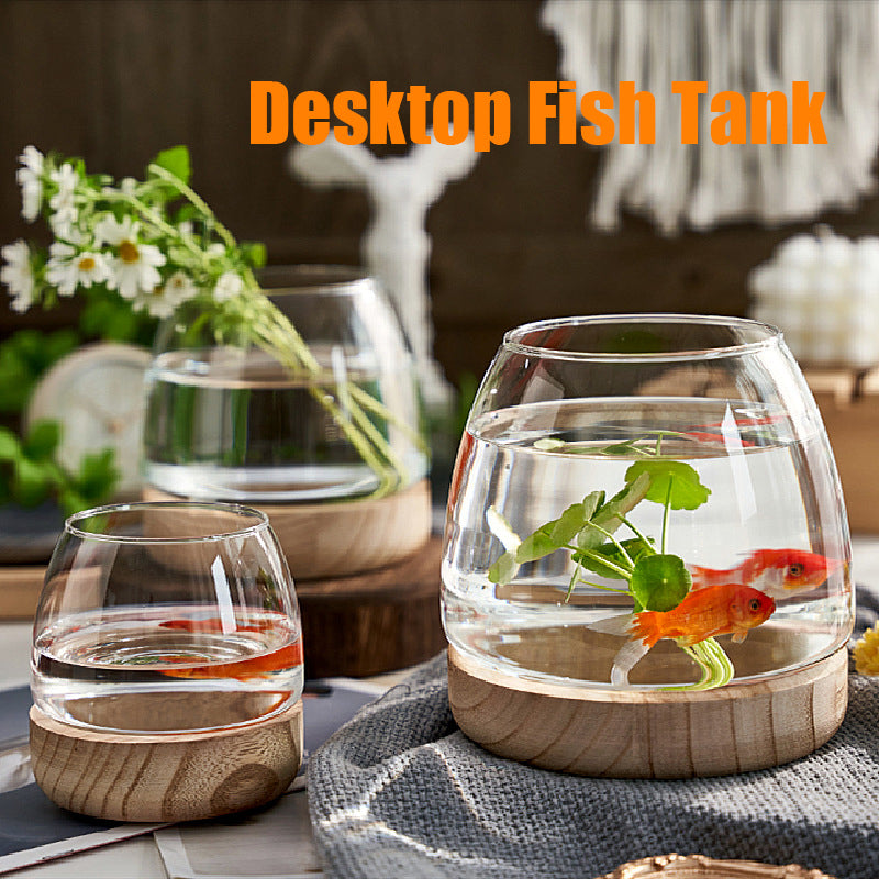 Rynx | Elegant Glass Desktop Fish Tank