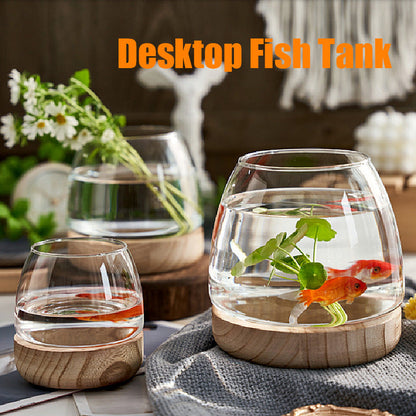 Rynx | Elegant Glass Desktop Fish Tank