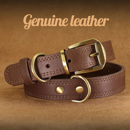 Rynx | Genuine Leather Dog Collar Durable and Adjustable for Small and Large Dogs
