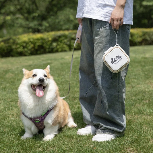Rynx | Portable Double-decker Collapsible Travel Bowl