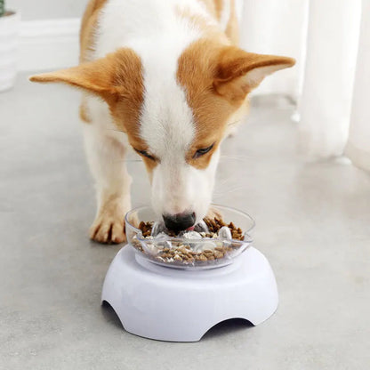 Rynx | 15 Degree Tilt Anti-Suffocate Cat Slow Feeder with Raised Stand