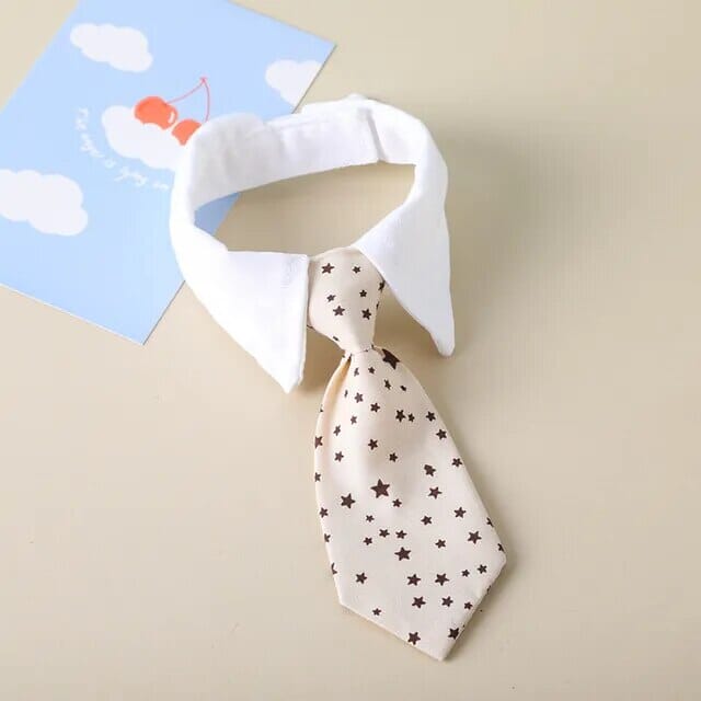Rynx | formal collar