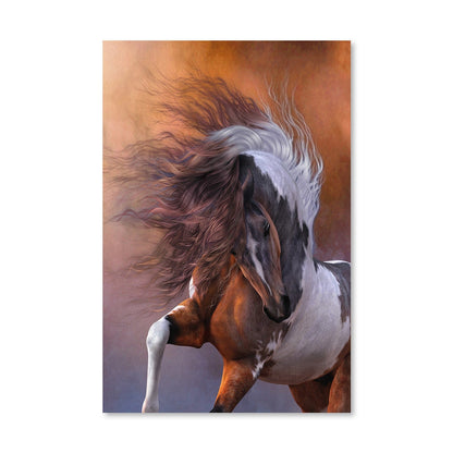 Rynx | Fiereza Canvas