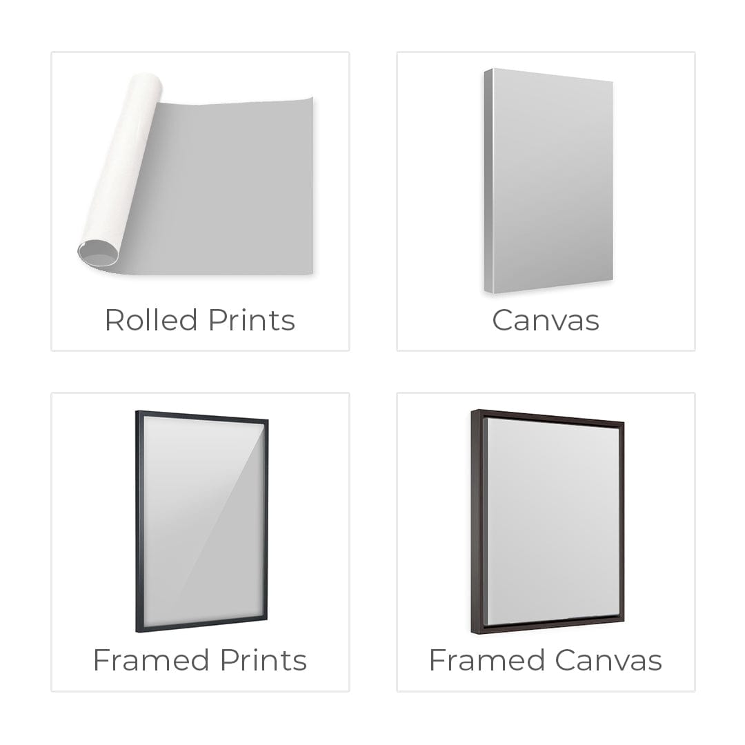 Rynx | Floral Set V Canvas
