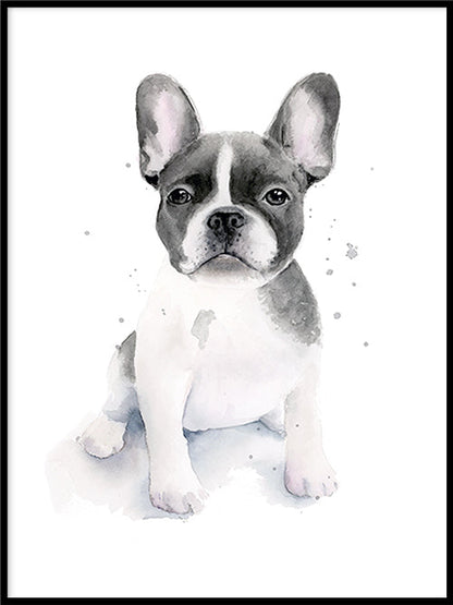 Rynx | Frenchie