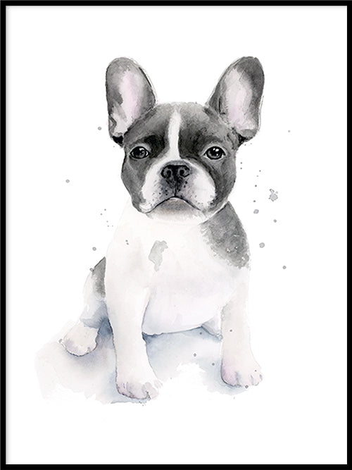Rynx | Frenchie