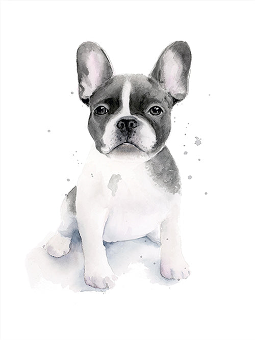 Rynx | Frenchie