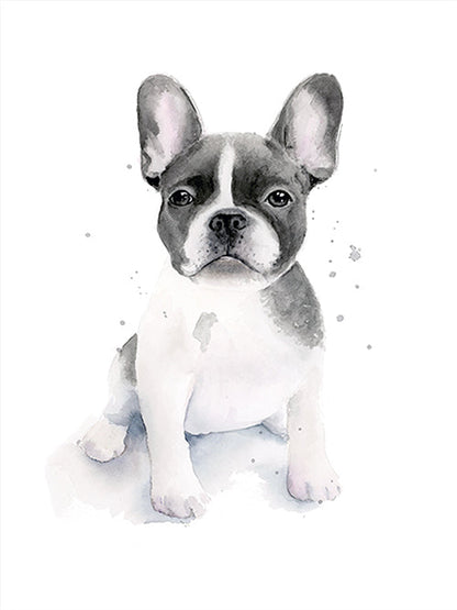 Rynx | Frenchie