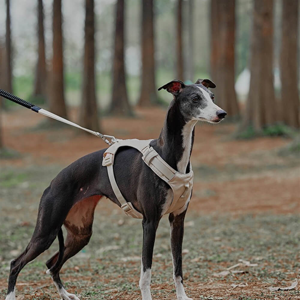 RYNX | Waterproof Breathable Anti-Pull Dog Harness and Multifunctional Leash