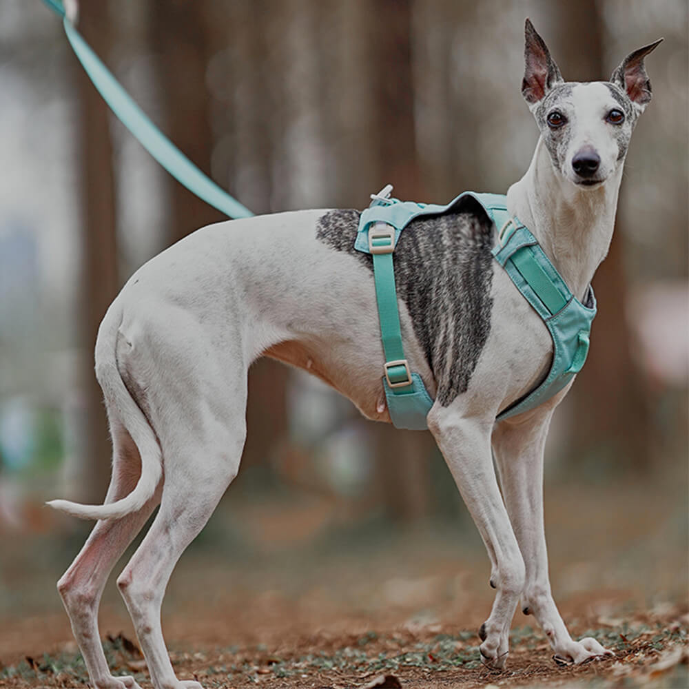 RYNX | Waterproof Breathable Anti-Pull Dog Harness and Multifunctional Leash